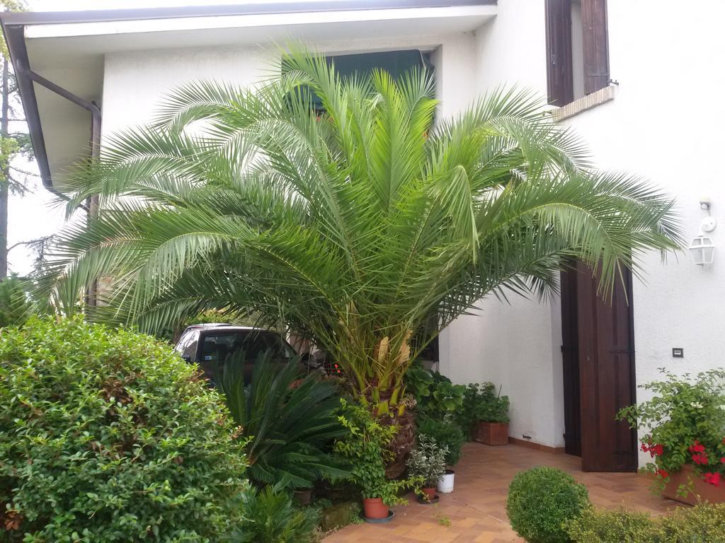 B&B La Cascina Concordia Sagittaria Dış mekan fotoğraf