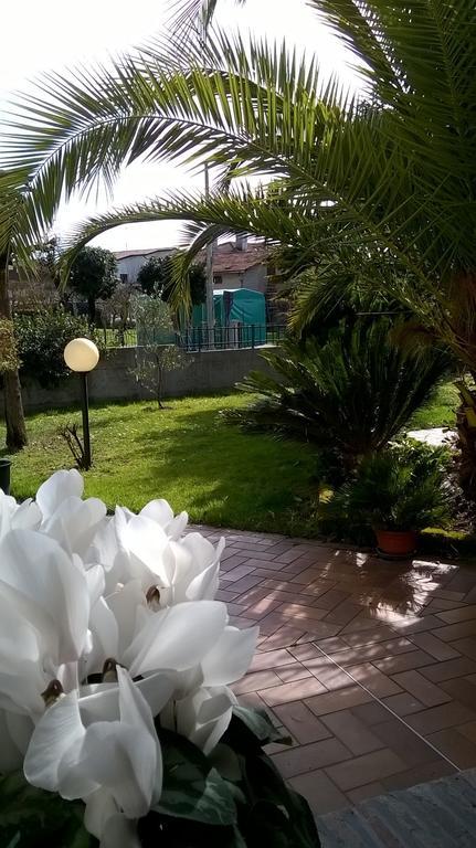 B&B La Cascina Concordia Sagittaria Dış mekan fotoğraf