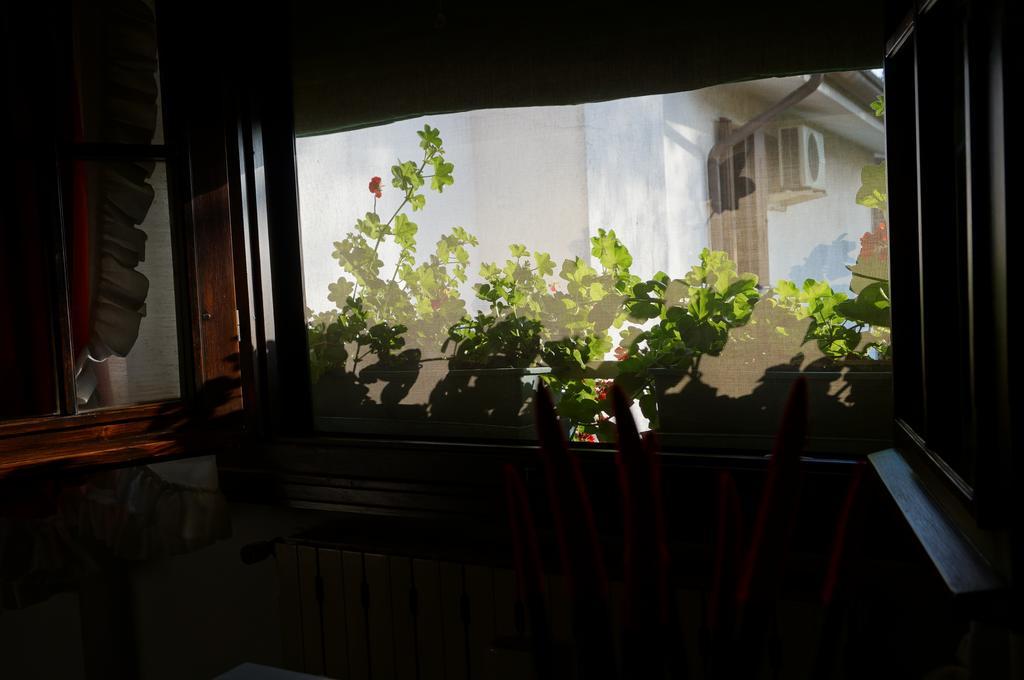 B&B La Cascina Concordia Sagittaria Dış mekan fotoğraf