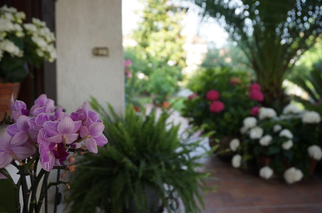 B&B La Cascina Concordia Sagittaria Dış mekan fotoğraf